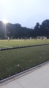 Soccer Field image 1
