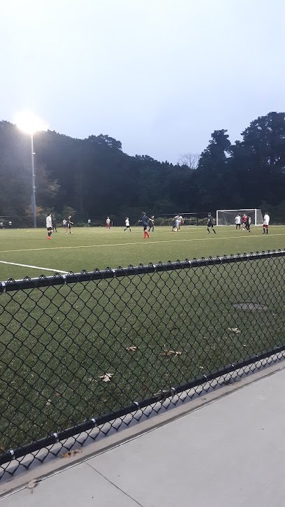 Soccer Field image 1