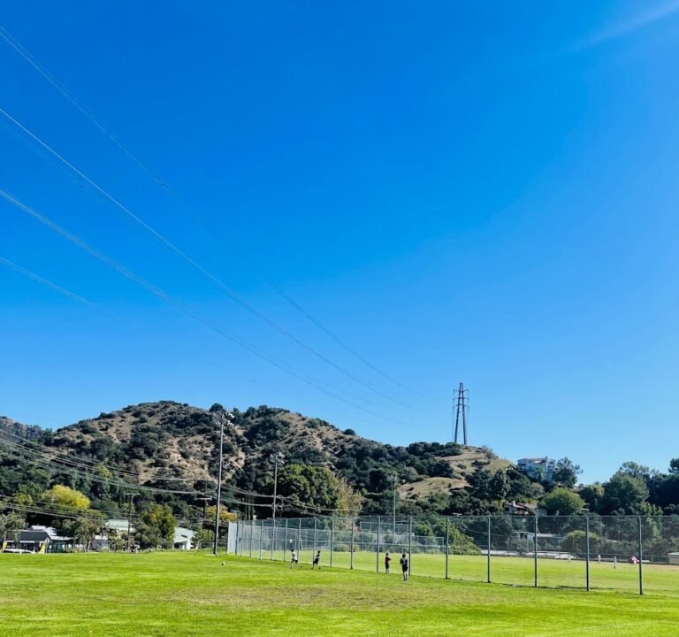 Soccer Field image 3