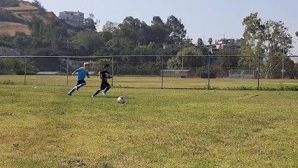 Soccer Field image 1