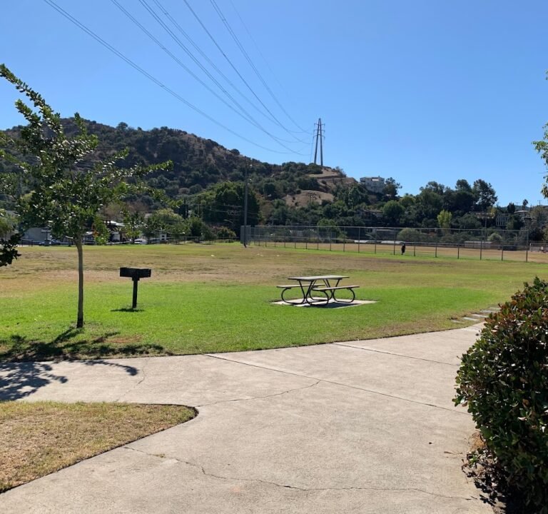 Soccer Field image 2