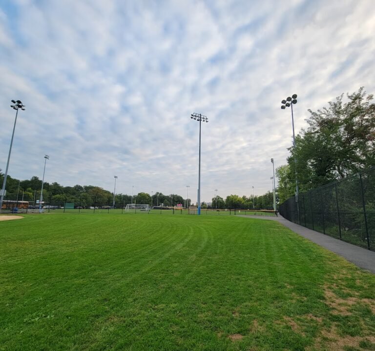 Soccer Field image 2