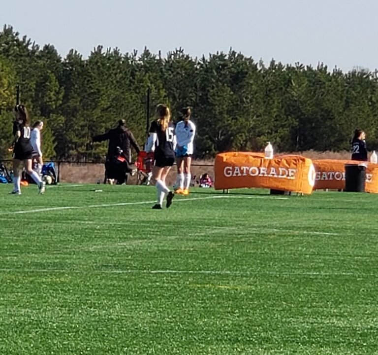 Soccer Field image 2