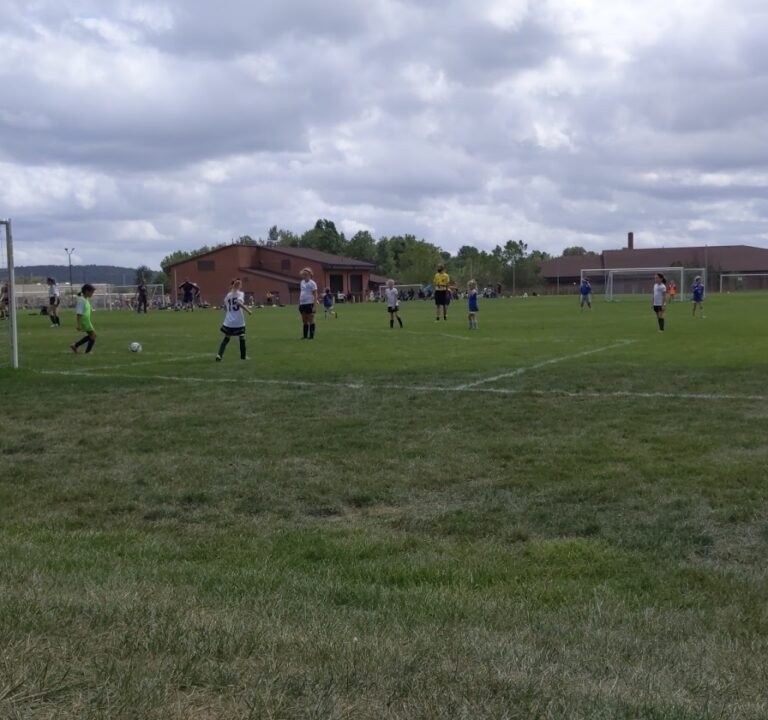 Soccer Field image 2