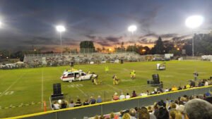 Soccer Field image 1
