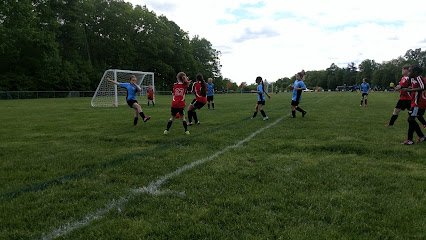 Soccer Field image 1