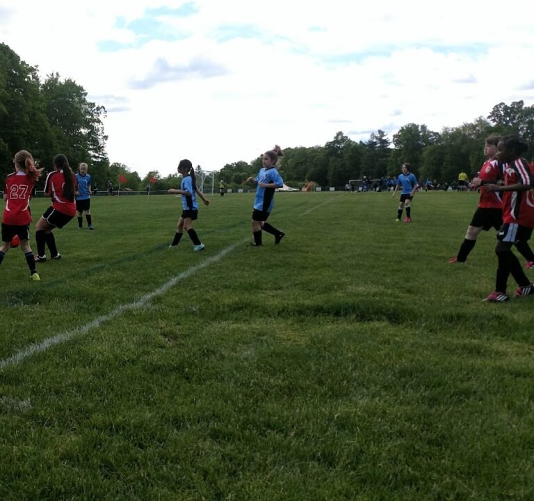 Soccer Field image 3