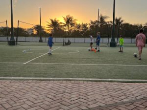 Soccer Field image 1