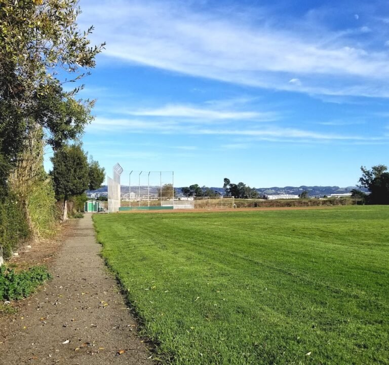 Soccer Field image 2