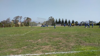 Soccer Field image 1