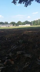 Soccer Field image 1
