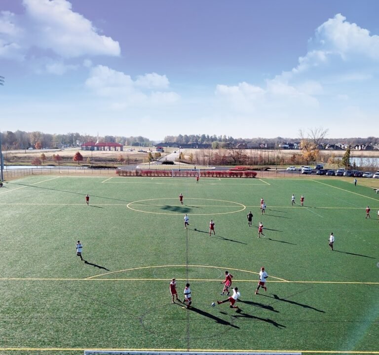 Soccer Field image 2