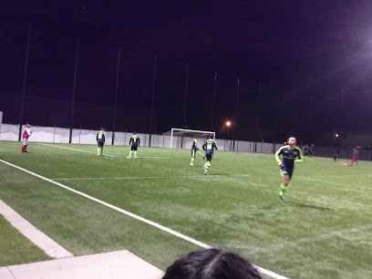 Soccer Field image 1