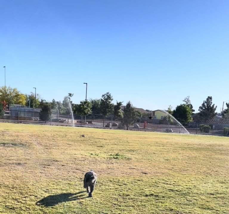 Soccer Field image 2