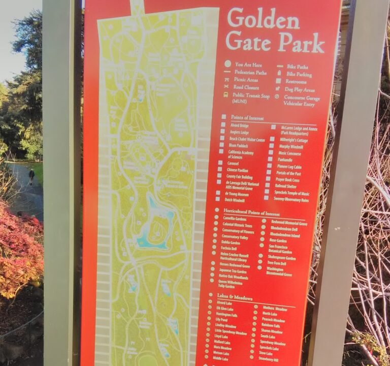 Soccer Field image 3