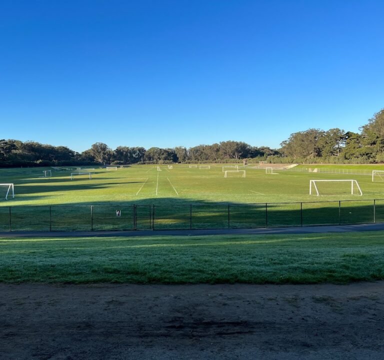 Soccer Field image 2
