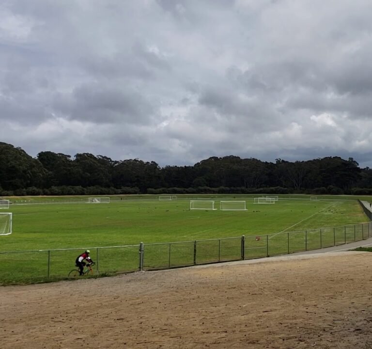 Soccer Field image 4