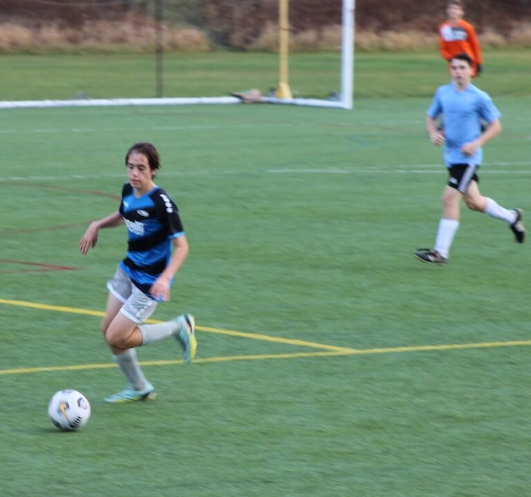 Soccer Field image 3