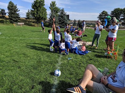 Soccer Field image 1