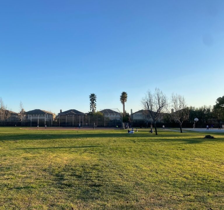 Soccer Field image 2