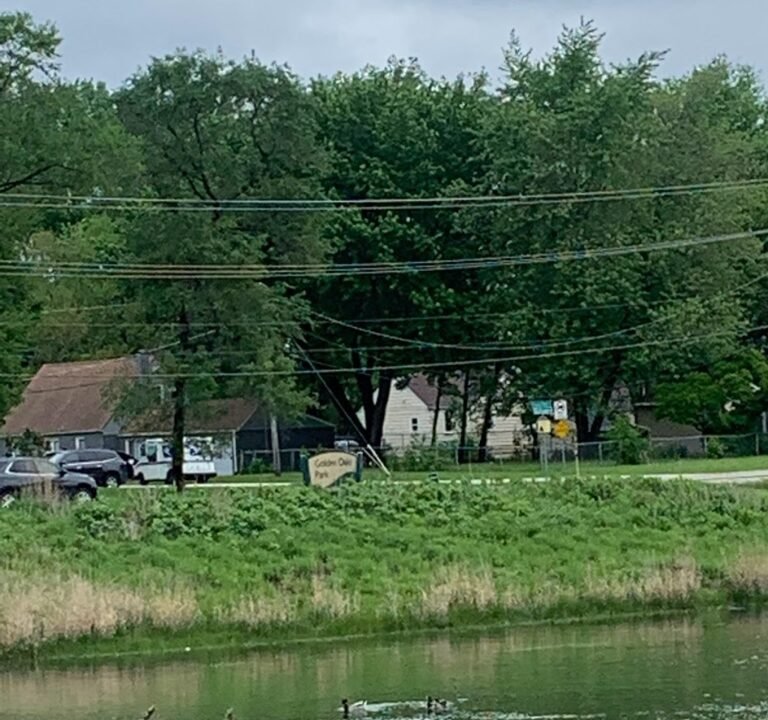 Soccer Field image 2