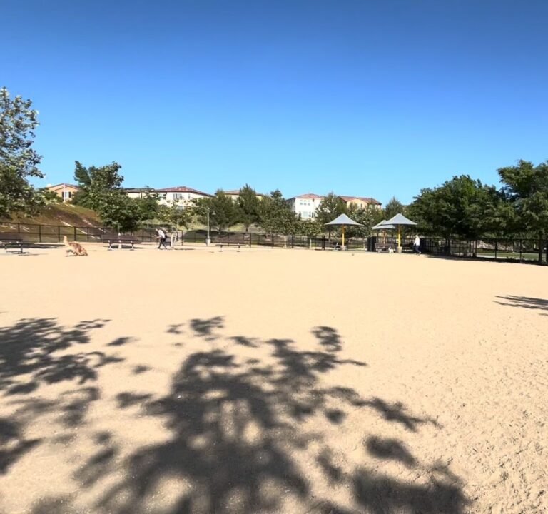 Soccer Field image 4