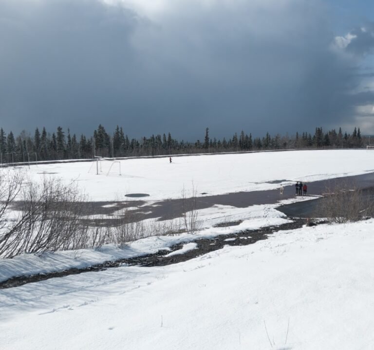 Soccer Field image 2