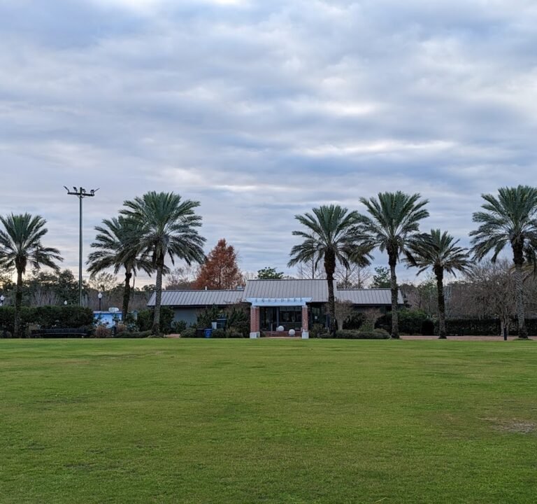 Soccer Field image 2