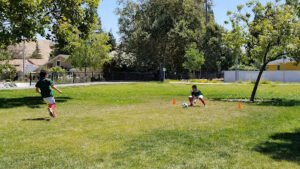 Soccer Field image 1