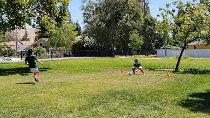 Soccer Field image 1