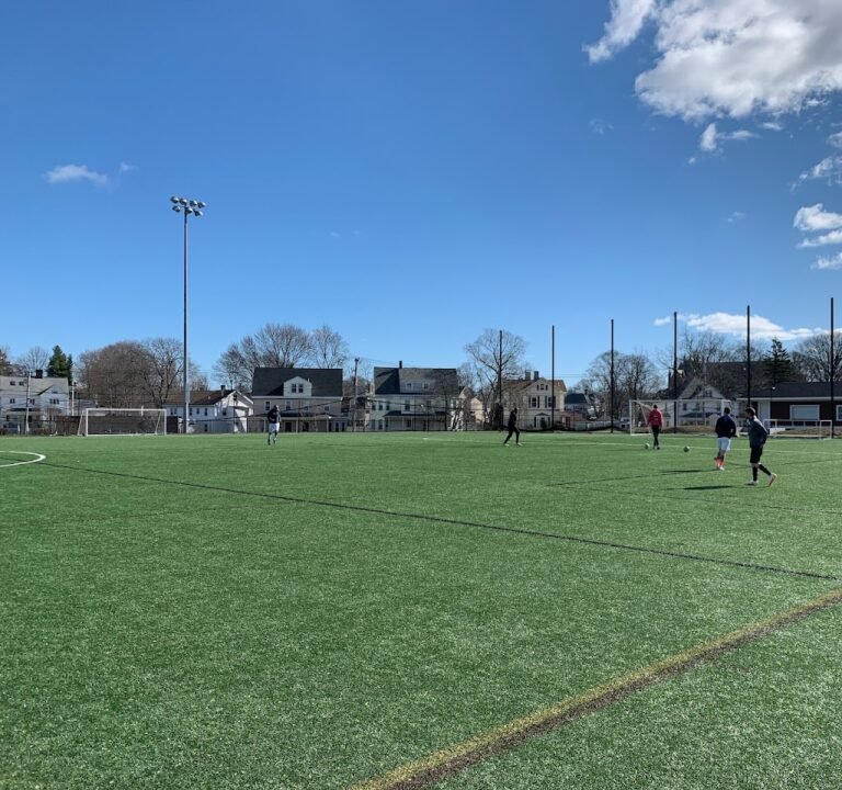 Soccer Field image 2