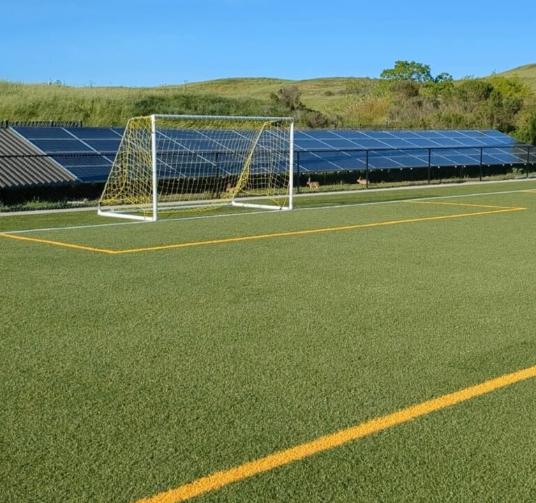 Soccer Field image 4