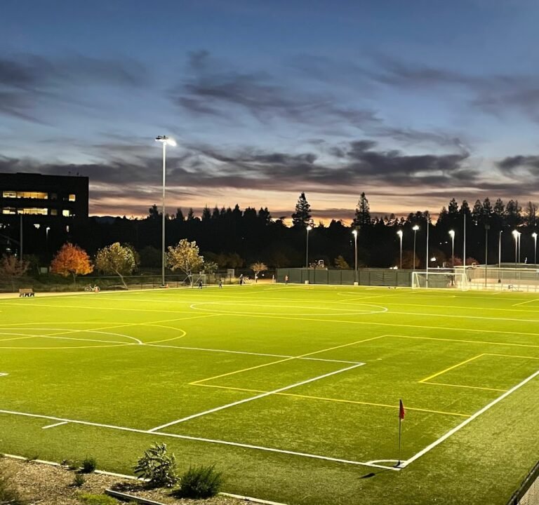 Soccer Field image 2