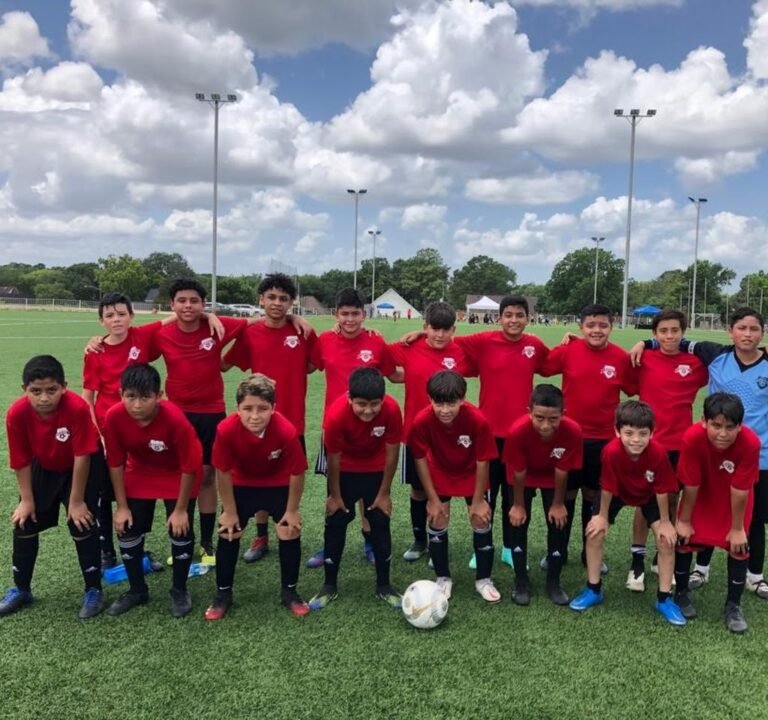 Soccer Field image 3