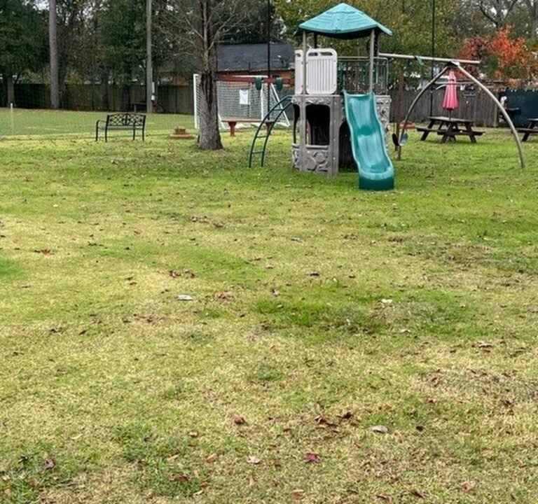 Soccer Field image 2