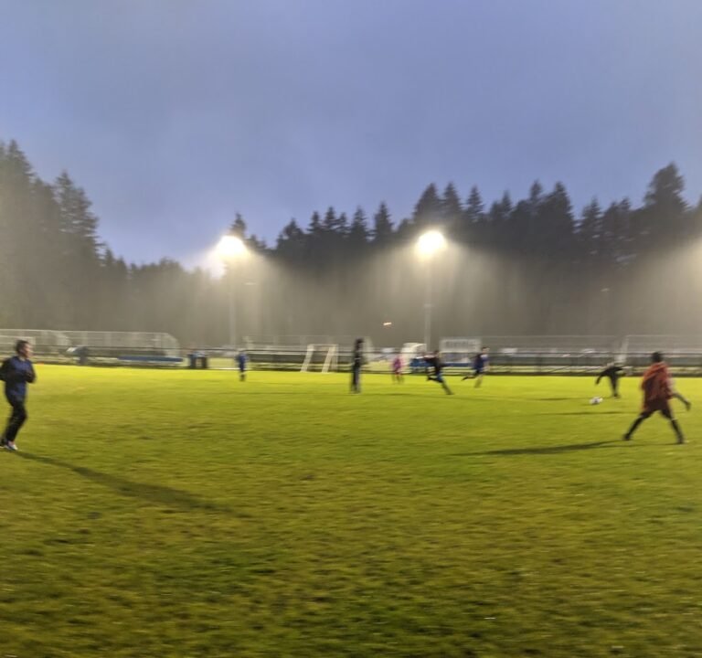 Soccer Field image 3