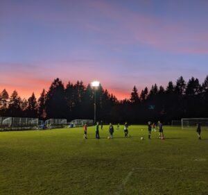 Soccer Field image 2