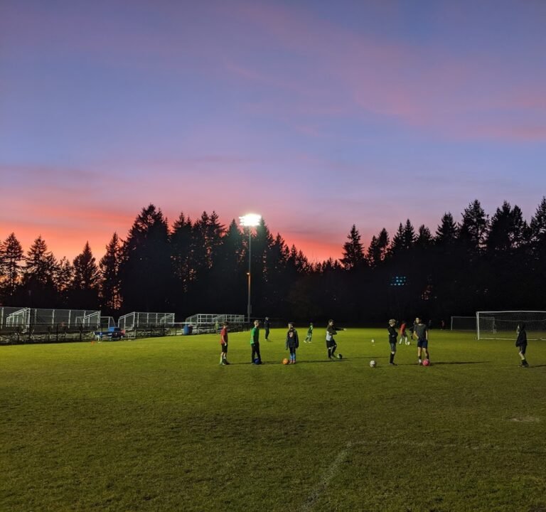 Soccer Field image 2