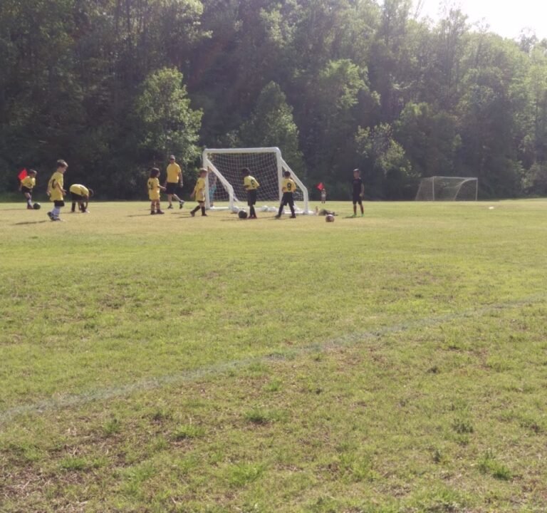 Soccer Field image 3