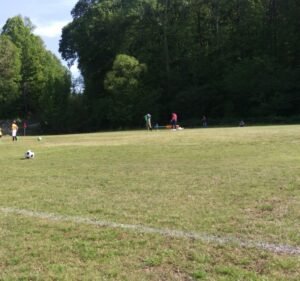 Soccer Field image 2