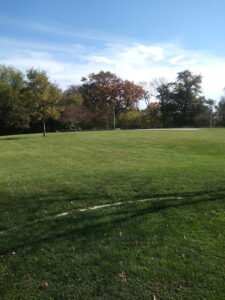 Soccer Field image 1