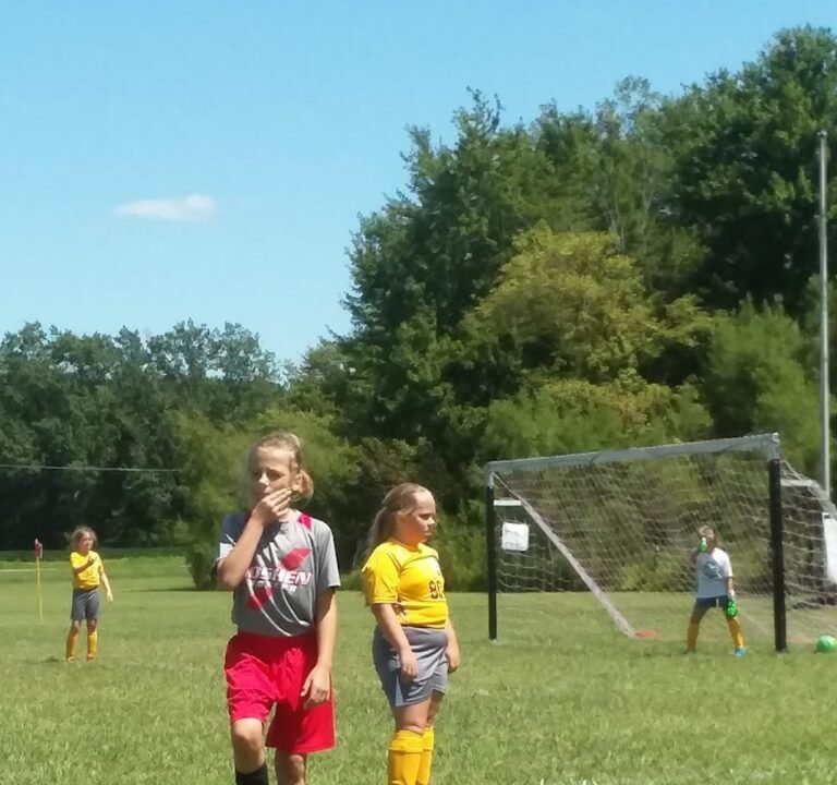 Soccer Field image 2