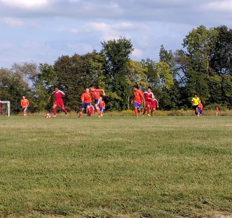 Soccer Field image 2