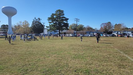 Soccer Field image 1