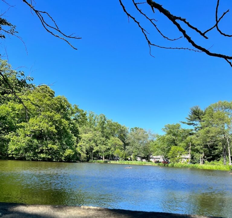 Soccer Field image 2