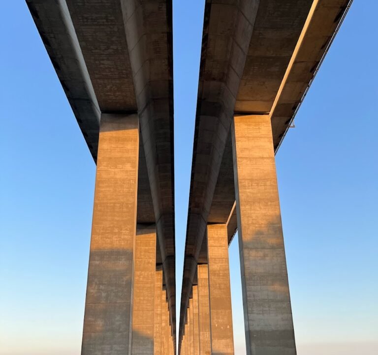 Soccer Field image 2