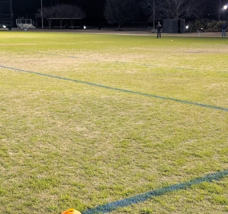 Soccer Field image 3