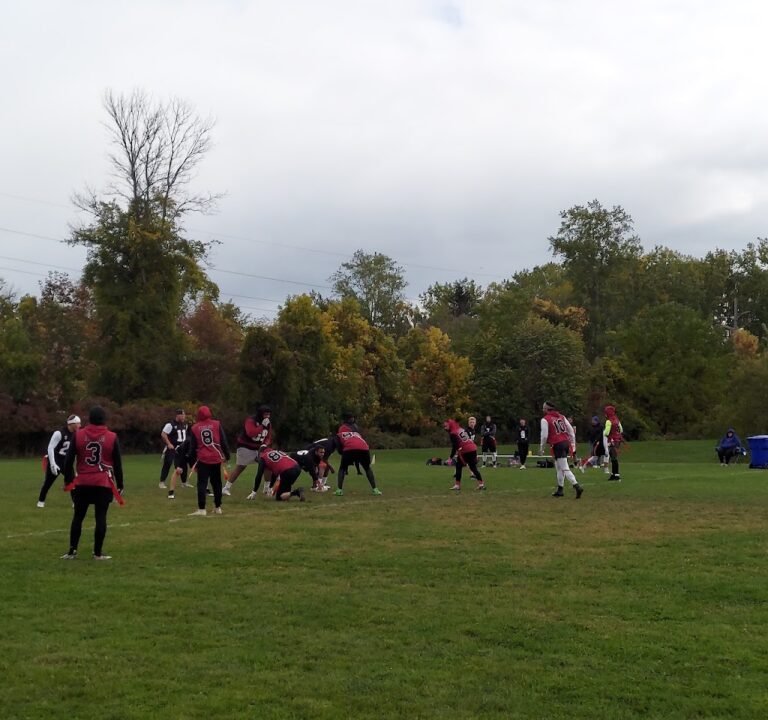 Soccer Field image 2