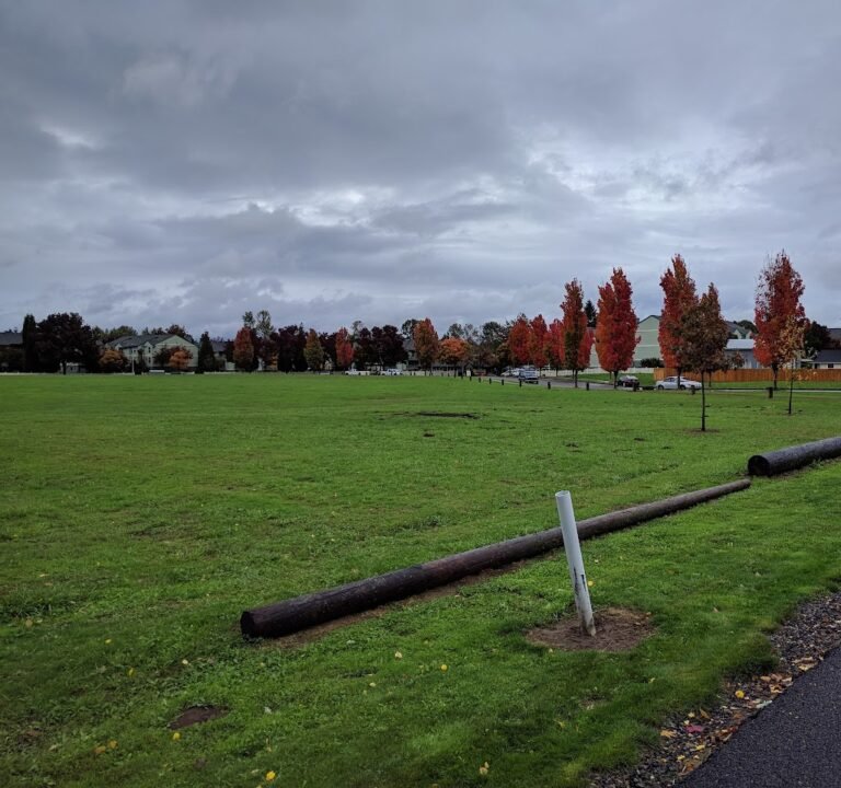 Soccer Field image 3