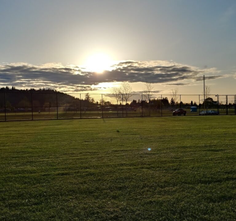 Soccer Field image 2